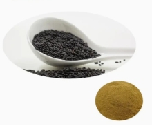 Natural Black Sesame Seed Extract Sesamin 98% Powder