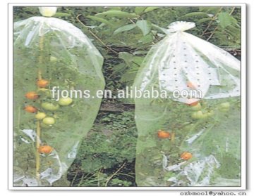 Household tomato growing perforated bags