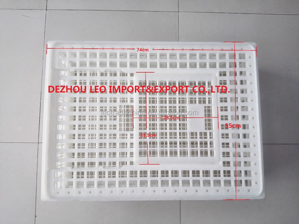 Plastic crate for chicken transportation day old chicks transportation for sale