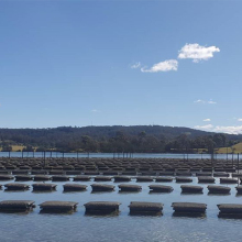 PVC PE Oyster Growing Wire Mesh