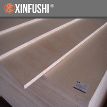 Brich Plywood