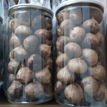 Popular black garlic by masses of people