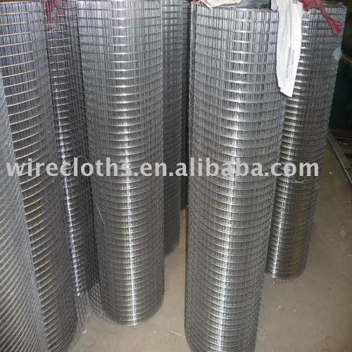 SS Welded Wire Mesh