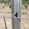 Vineyard Metal Trellis Post en gros de l'acier galvanisé