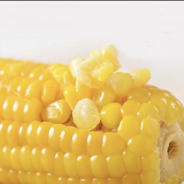 Vacuum Seal Corn On The Cob