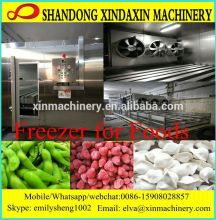 Mini Freezer for Fruit/Vegetable/Meat; refrigerator Freezer with compressor