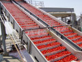 macchina per la produzione di ketchup di pomodoro