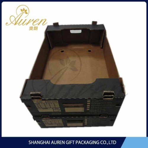 China manufacturer attractive lovely dog's food boxes