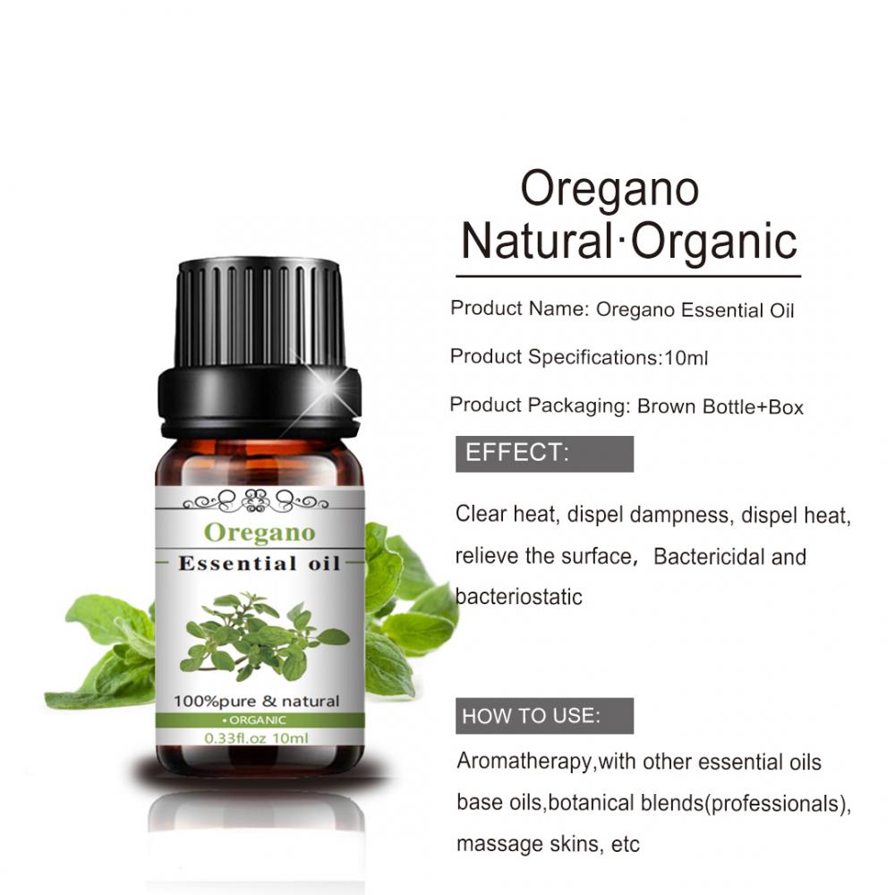 Organic Wholesale 100% Pure Nautral oil Steam Distilled Oregano essential oil