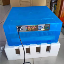 Automatic Mini64 Eggs Incubator and Hatcher for Sale: Chicken, Turkey, White Steel, Bird, Duck, Ostrich