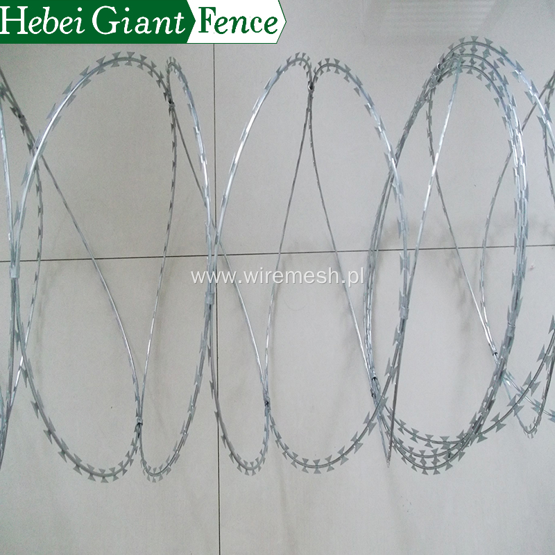 Hot Dipped Security Fencing Razor Barbed Wire Fence