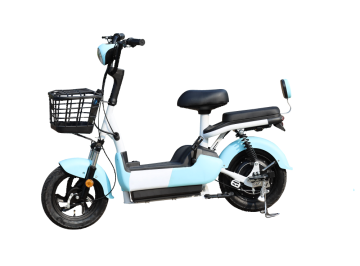 Electric Scooters ZP08E 500W