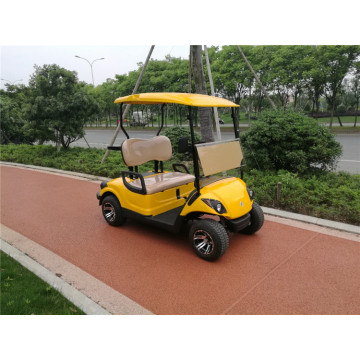 Carrello da golf a gas a 2 posti 300CC