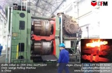 D46-1000 Cross wedge roll