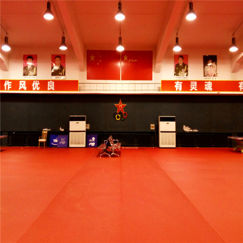 Alfombrilla para pista de tenis de mesa