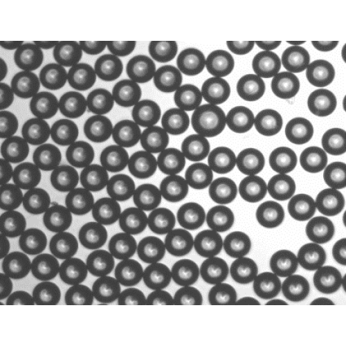 Resins for Solid Phase Synthesis SPWR120