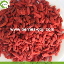 Rifornimento della fabbrica Super Food Secchi bacche rosse di Goji