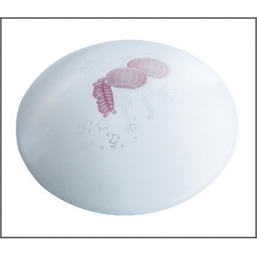 LED Ceiling Light /13W / DIP LEDS