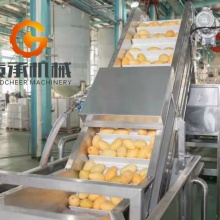China Factory Producing High-Quality Fresh Fruit Pulp and Puree