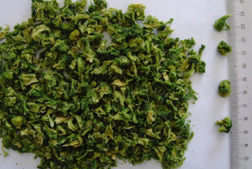Dehydrated broccoli granule new crop