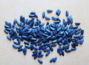 tratante de semillas seed treater