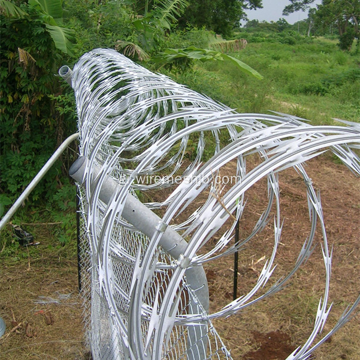 Πράσινο έγχρωμο PVC επικαλυμμένο Concertina Razor Wire