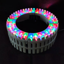 Palm Tree LED Light - Warm White Outdoor Decoration