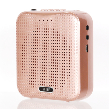 Portable Voice Amplifier for Teachers and Public Speaking: 10W Personal Tour Guide Multimedia Device