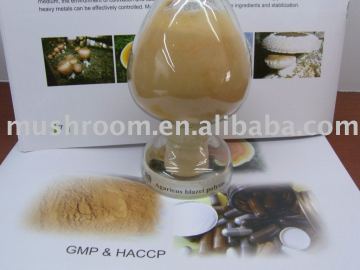 Agaricus Blazei extract,Agaricus extract,Agaricus blazei polysaccharide