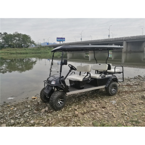 6 seater gas powered golf cart for sale