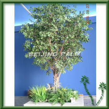 Ficus tree,plastic tree,plastic plant