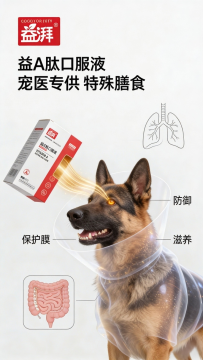 Bulk Wholesale Vitamin A Peptide Oral Liquid