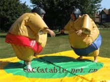 FUNNY inflatable sumo suits