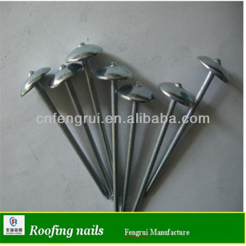 BWG9X2.5''asbestos roofing nails