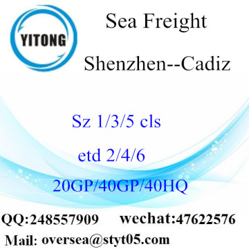 Shenzhen Port Sea Freight Shipping To Cadiz