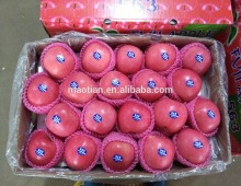 Fresh fuji apple sizes from yantai china