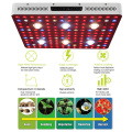 Hydroponic 3000W COB Led Grow Light untuk Rumah Hijau