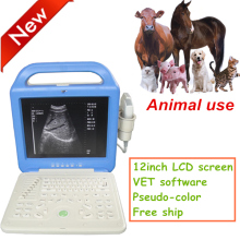 VET Laptop Ultrasound Scanner