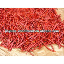 Red chili
