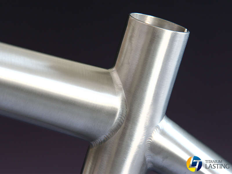 Lasting Titanium Bicycle 3