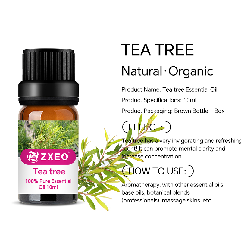 Aromatherapy Organic Tea Tree Essential Oil Natural Pure Tea Tree Oil for Hair Face Skin Scalp Acne Diffuser