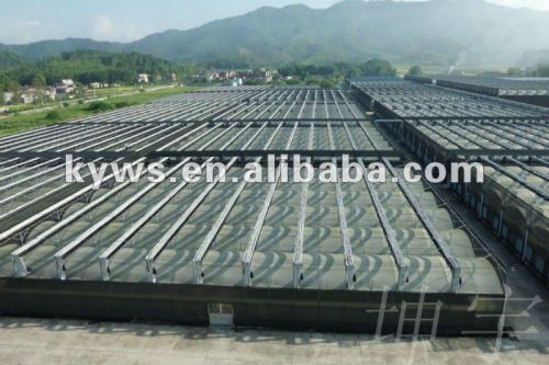 multi-span hydroponic agricultural film greenhouse