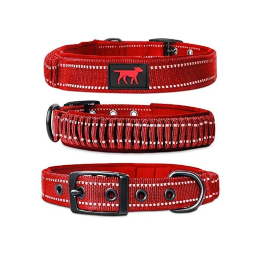 Collier de chien robuste en nylon balistique