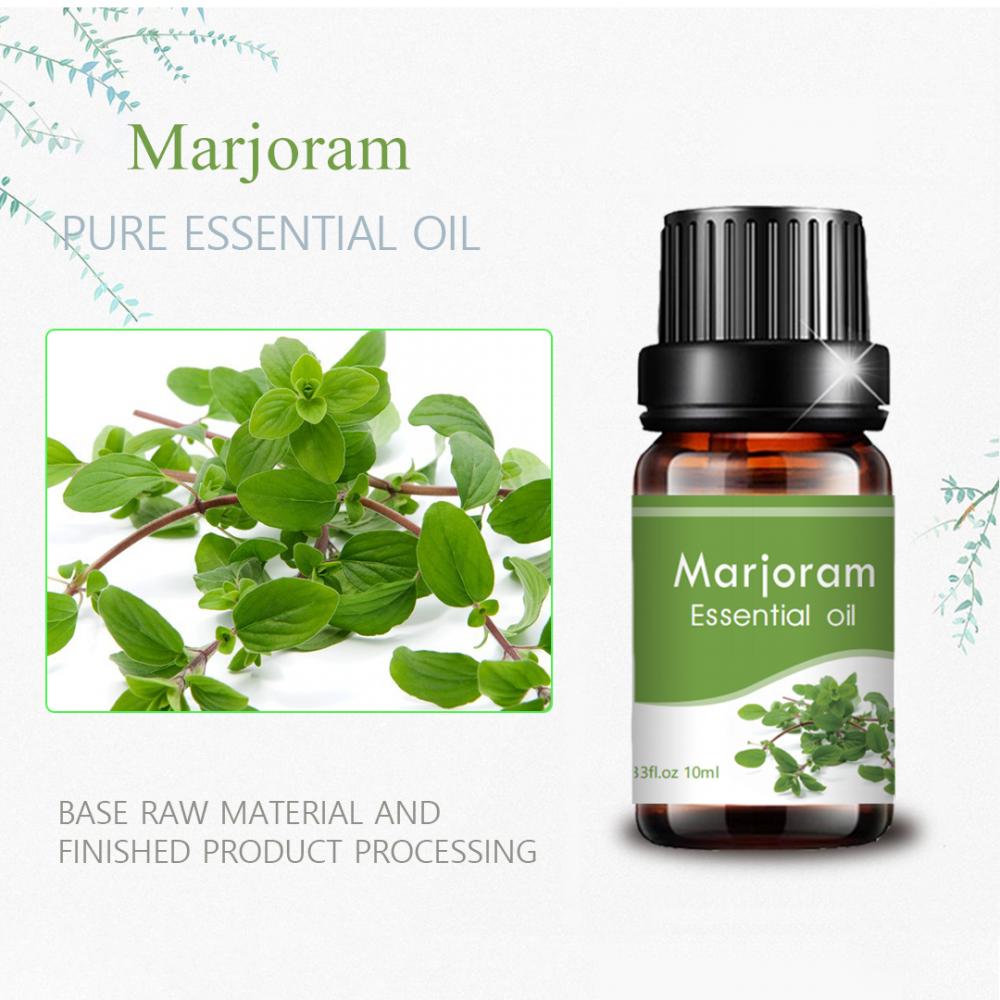 10ml卸売バルクプライベートラベルMarjoram Oil for Aroma