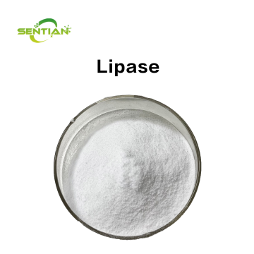 Food Grade Lipase Enzyme with Enhanced Activity