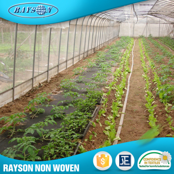 Chinese Factories Non Woven Anti Uv Flower Wrapping Material