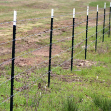 PVC Coated/Galvanized T Post Factory Prices for Farm Fences