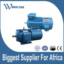 variable frequency motor