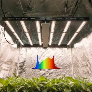 Aglex Horticultal High Bright 720W LED CRESCIO LUCE