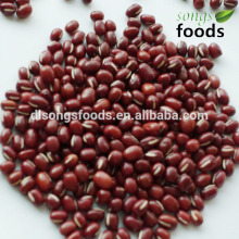 Adzuki beans 2014